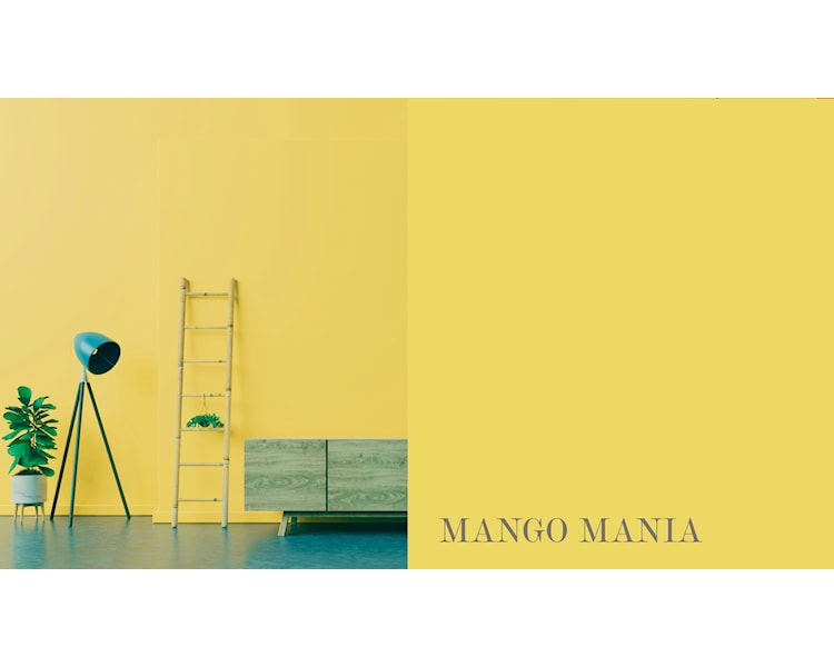 mango mania ny